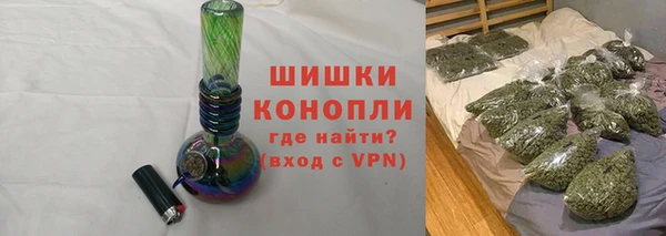 ПСИЛОЦИБИНОВЫЕ ГРИБЫ Арсеньев