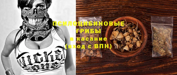ПСИЛОЦИБИНОВЫЕ ГРИБЫ Арсеньев