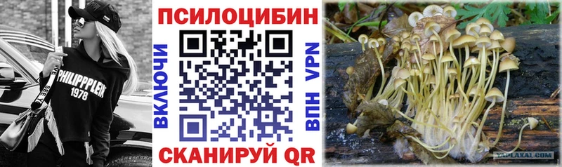 Псилоцибиновые грибы Cubensis  Купить  Серов 